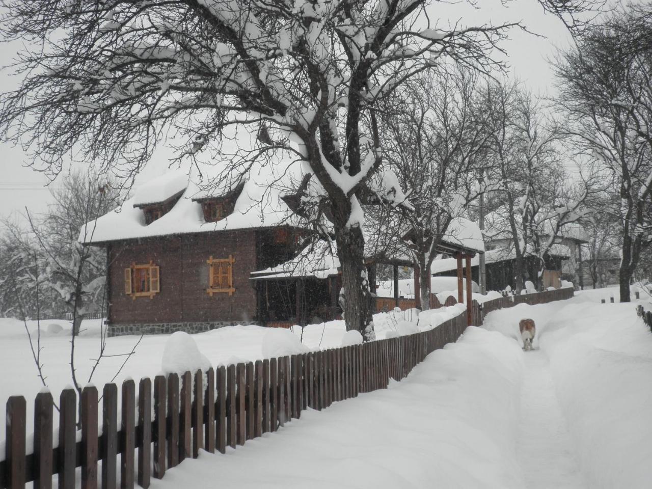 Вилла Brvnare Mrkic Kremna Экстерьер фото